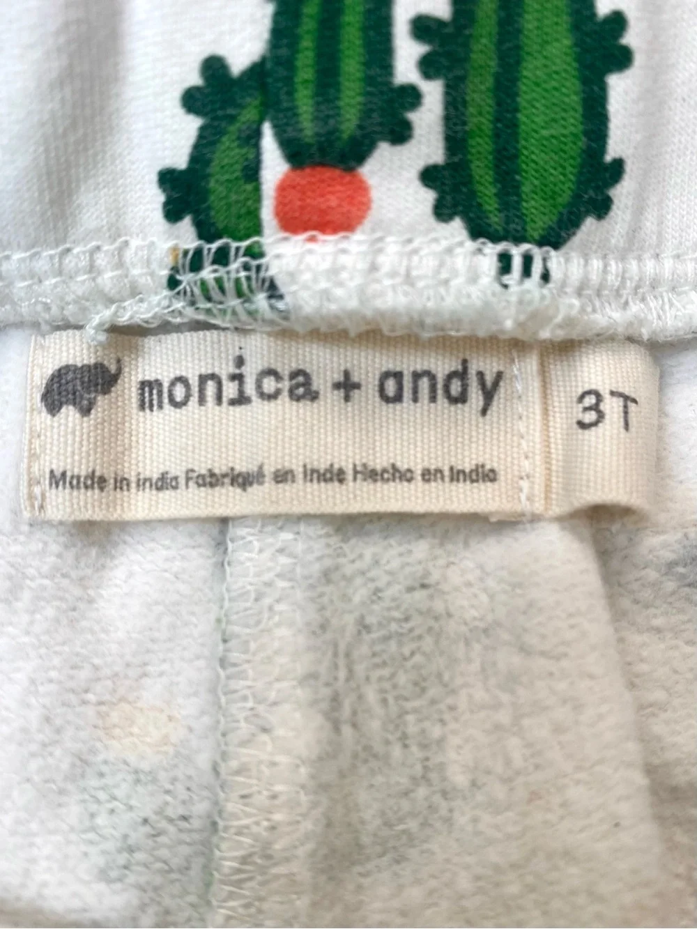 Monica + Andy Cactus Set + Primary Ombre Shorts Bundle 3T